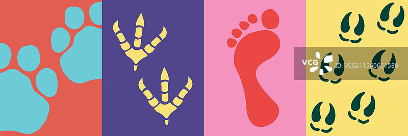 动物和鸟类设计背景集图片素材