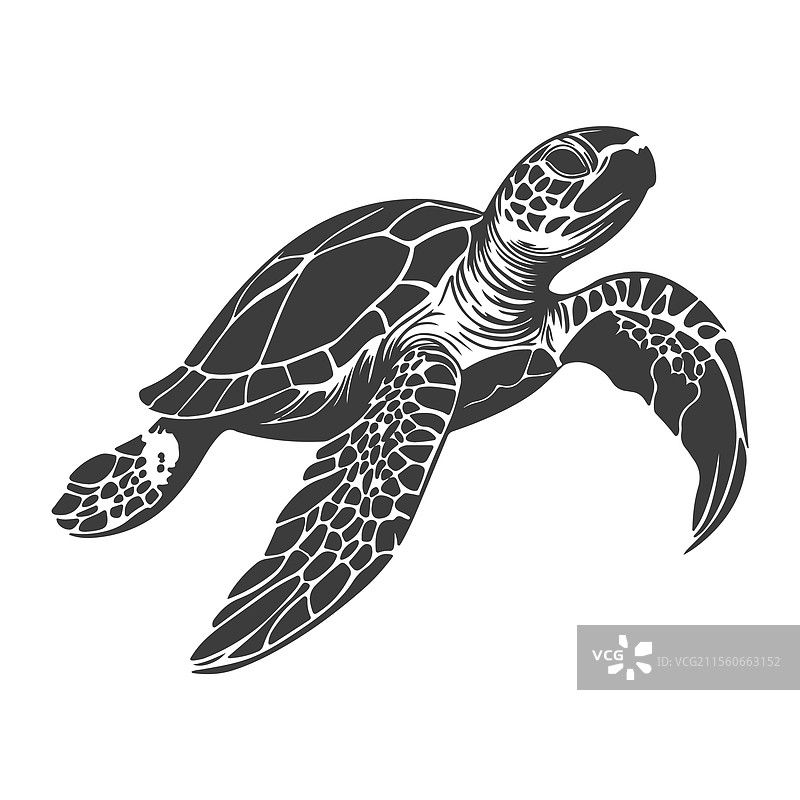 海龟剪影图片素材