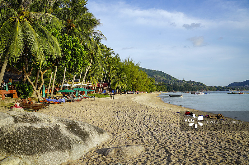 涛岛沙努安海滩 | 椰林环抱的热带天堂图片素材