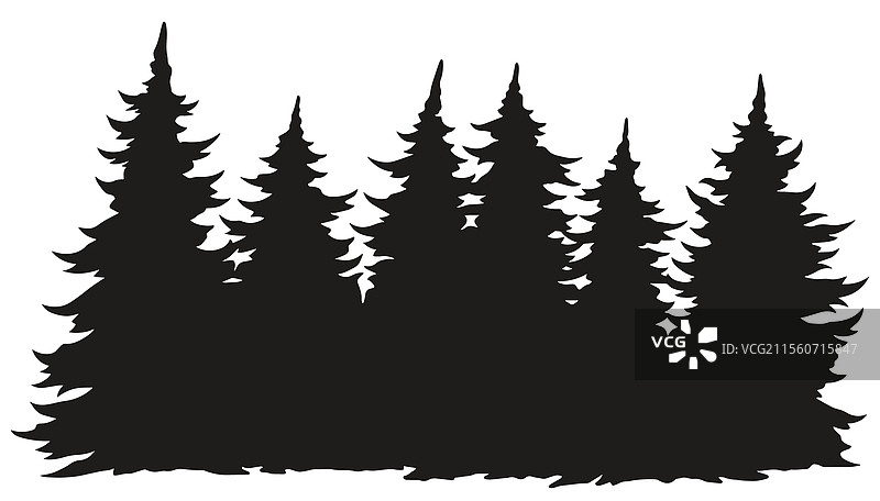 黄昏时分的松树剪影图片素材