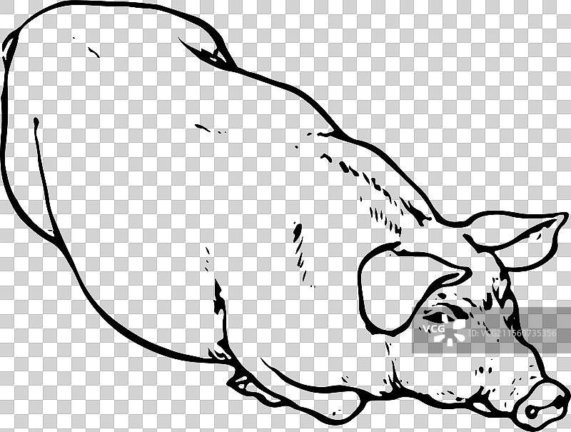 手绘 元素 动物 猪 猪肉 养殖图片素材