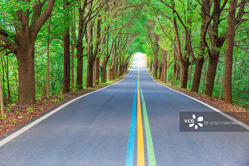 江苏省常州市溧阳一号公路，树林中一条蜿蜒的公路，彩虹色标识线图片素材