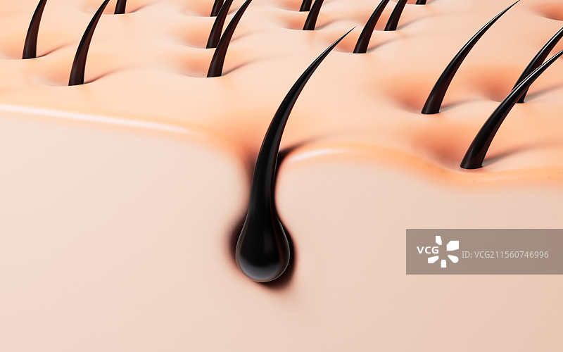 黑色毛发头发与皮肤三维渲染图片素材