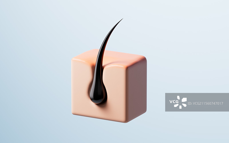 黑色毛发头发与皮肤三维渲染图片素材