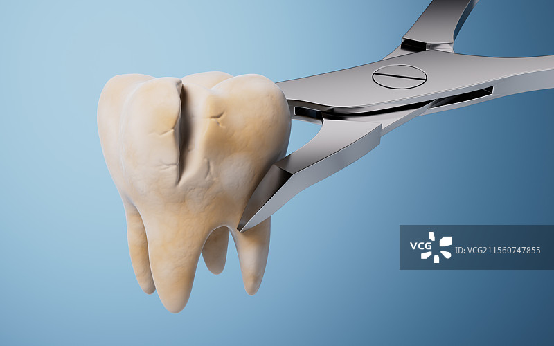 白色牙齿与口腔健康三维渲染图片素材