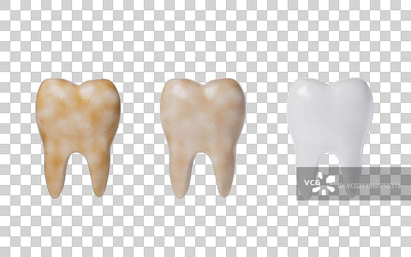 牙齿与口腔健康三维渲染图片素材