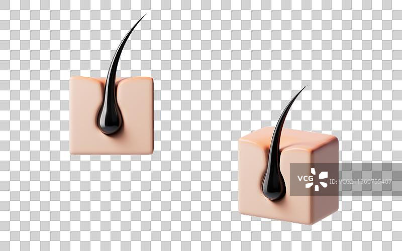 黑色毛发头发与皮肤三维渲染图片素材