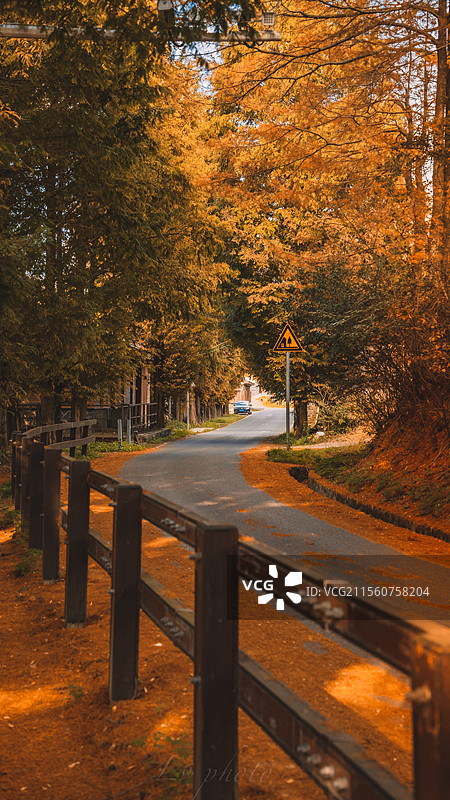 东白山图片素材