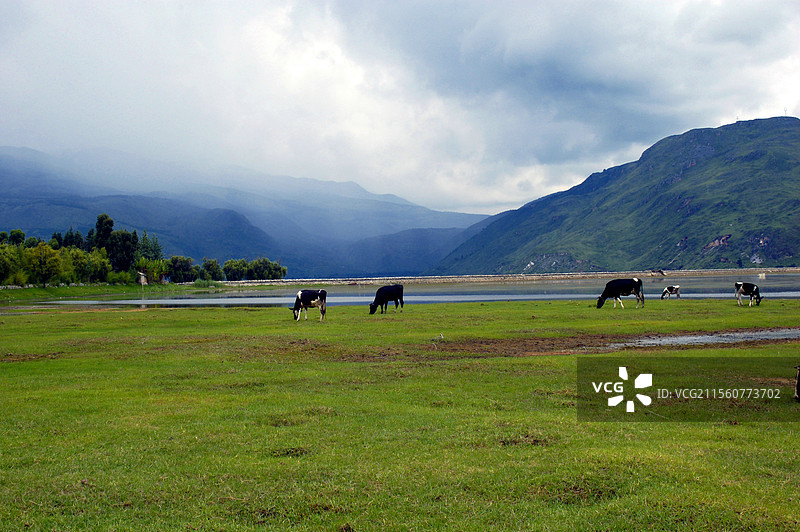 云南大理茈碧湖风光图片素材
