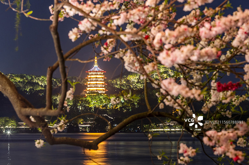 杭州西湖雷峰塔桃花夜景图片素材