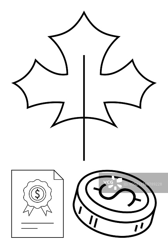 枫叶与金融证书和硬币图片素材