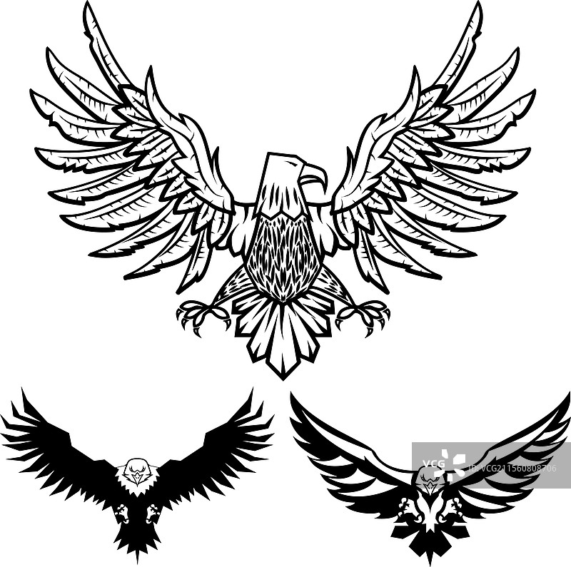 鹰的设计元素集合，用于标志标签图片素材