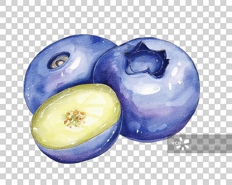 蓝莓插画元素图片素材