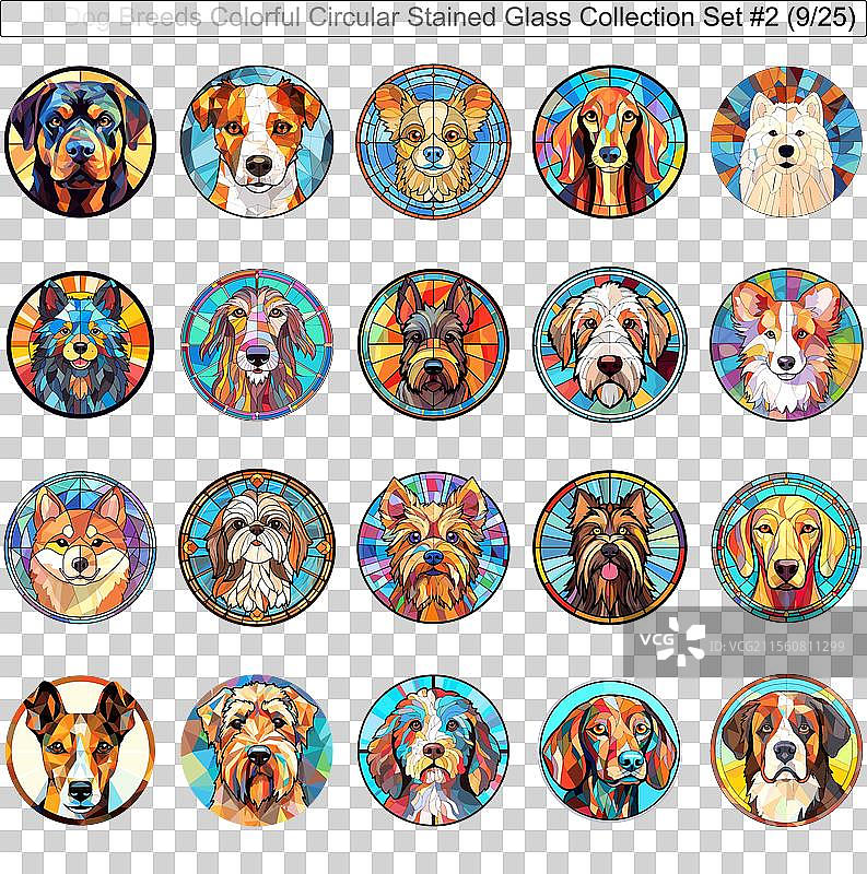 五彩斑斓的狗品种圆形彩色玻璃狗图片素材