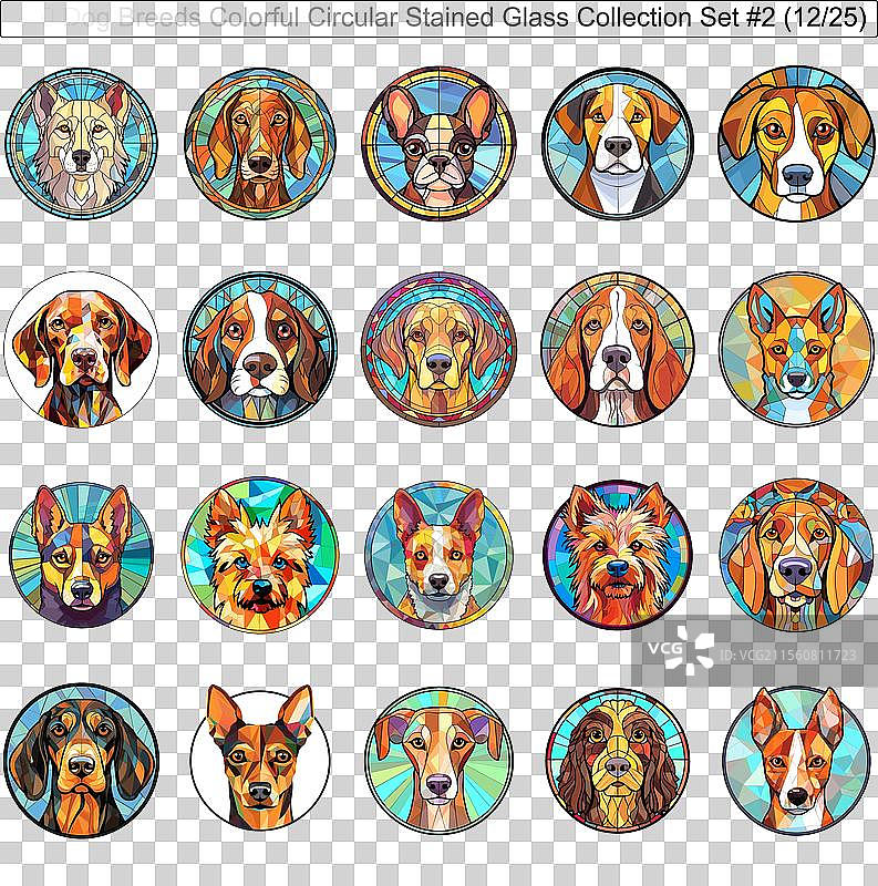 五彩斑斓的狗品种圆形彩色玻璃狗图片素材