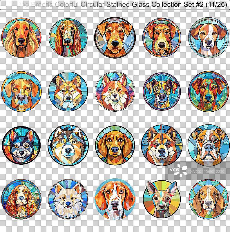 五彩斑斓的狗品种圆形彩色玻璃狗图片素材