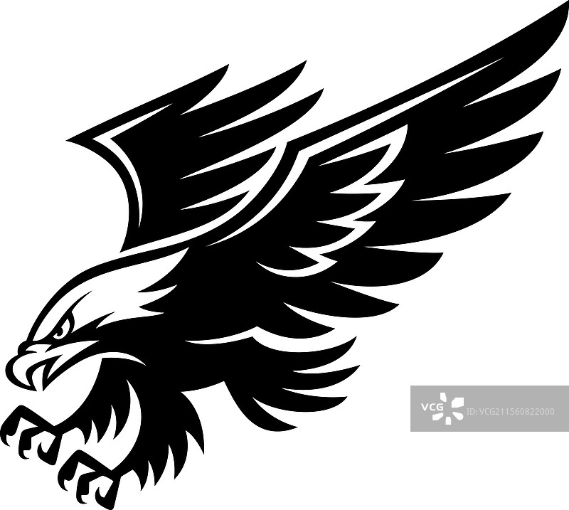 飞翔的鹰图片素材