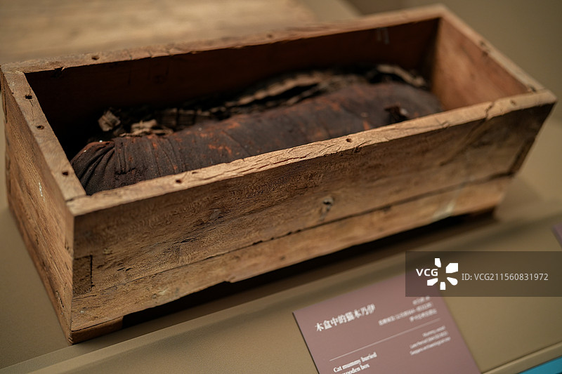 上海埃及馆展品图片素材