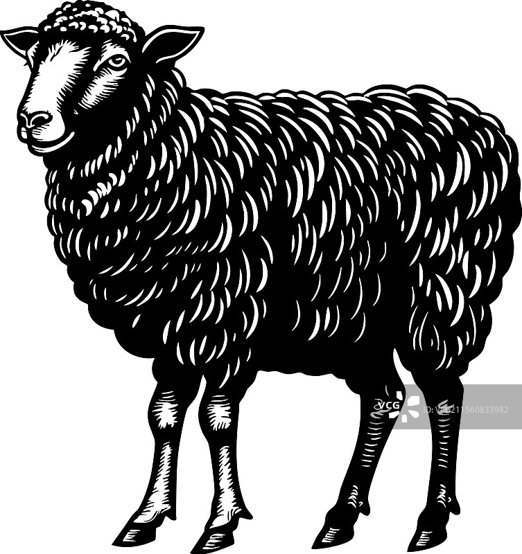 复古风格的单色羊图片素材