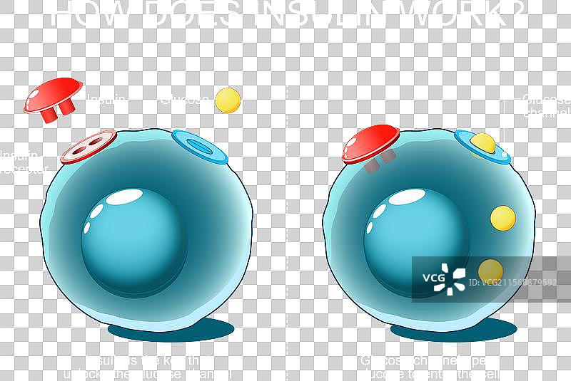 细胞中的葡萄糖通道和胰岛素受体图片素材