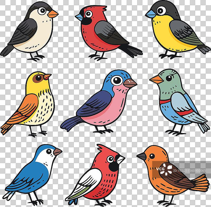 五颜六色的卡通鸟朝不同方向飞翔图片素材