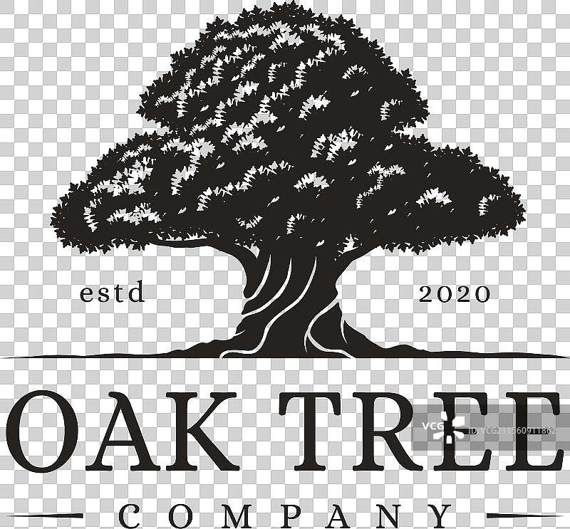 复古生命之树标志，古老的大橡树标志图片素材