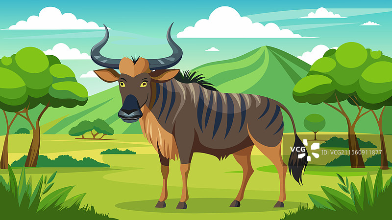 非洲草原上的食草动物角马图片素材