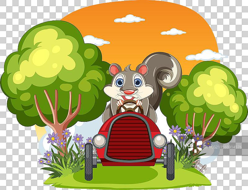 快乐的松鼠在户外驾驶红色汽车图片素材