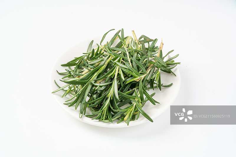 新鲜迷迭香白底图图片素材