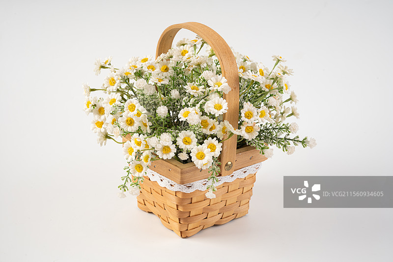 小雏菊花篮白底图图片素材