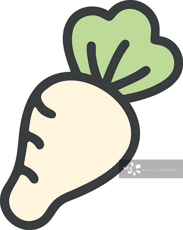 日本白萝卜图片素材