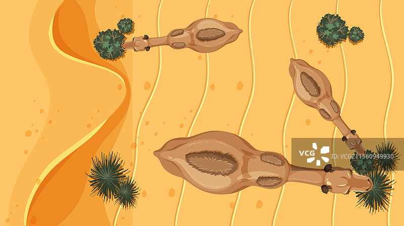 骆驼在沙漠景观中漫游图片素材