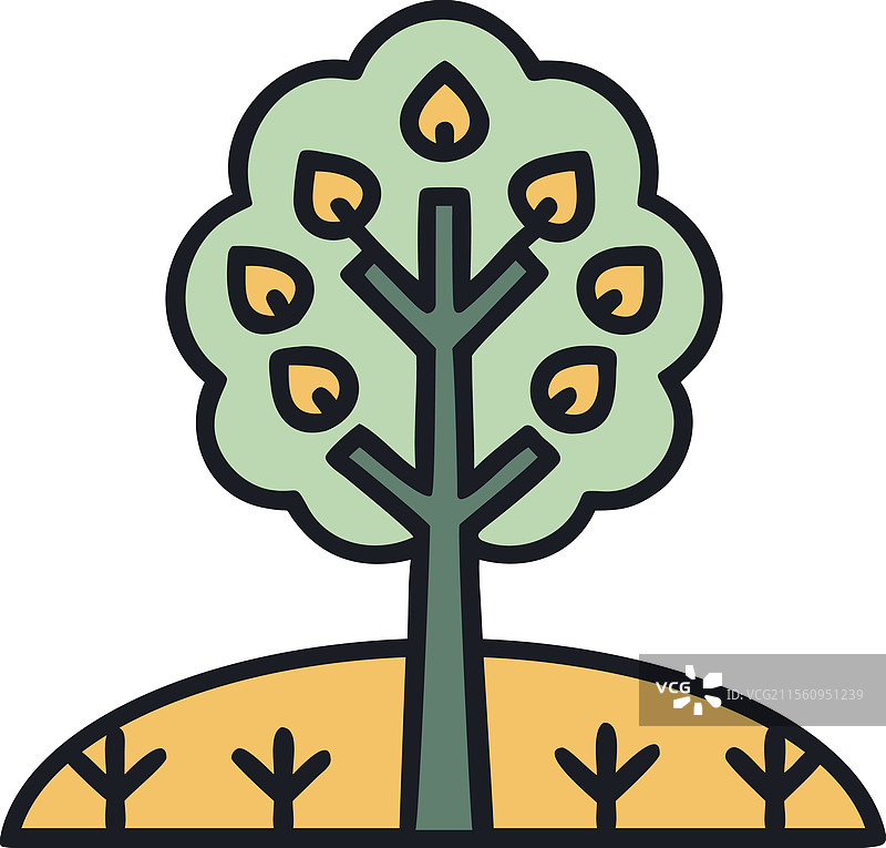 有机农业水果树图片素材