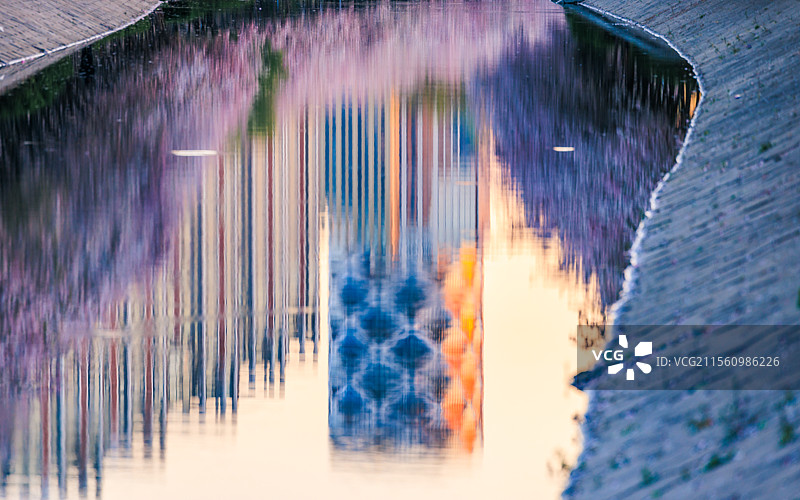 春天盛开的海棠花图片素材