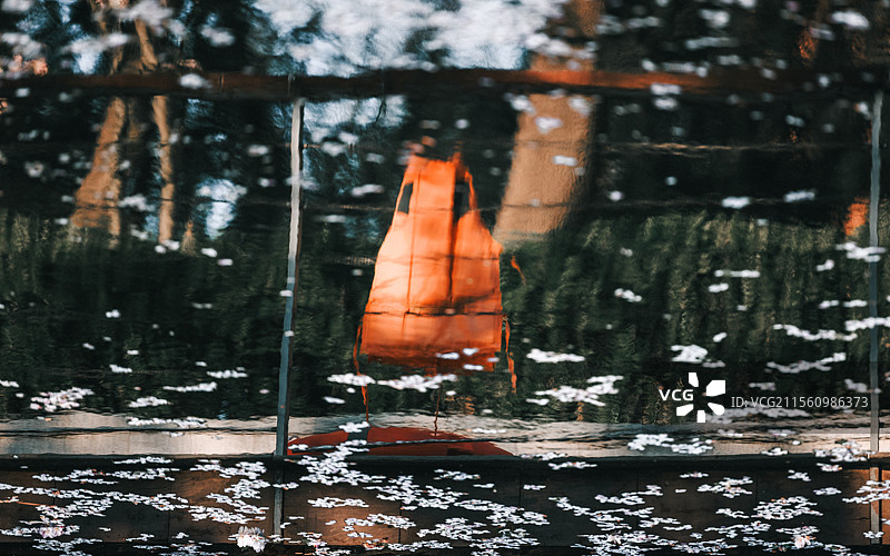 春天盛开的海棠花图片素材