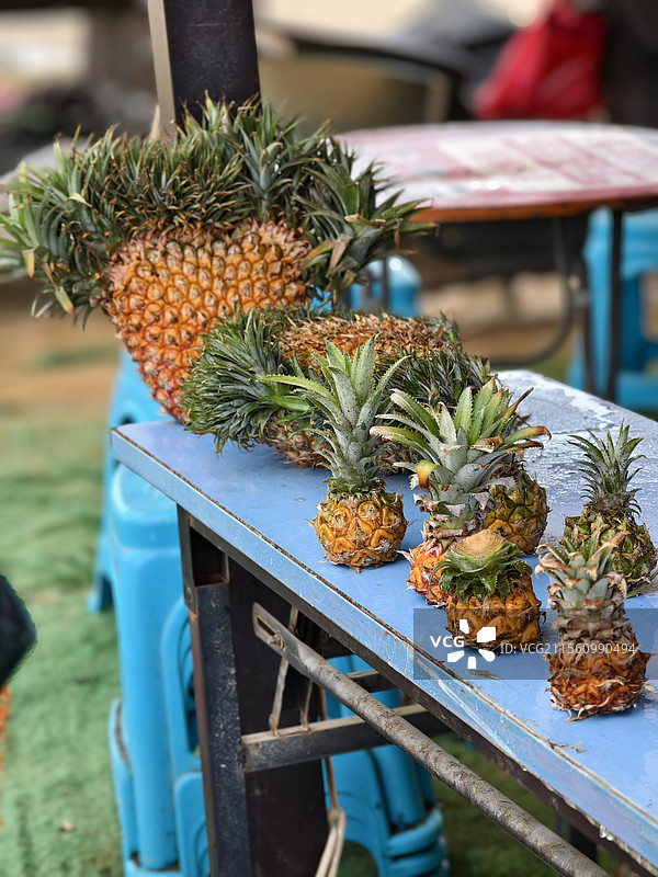 迷你菠萝图片素材