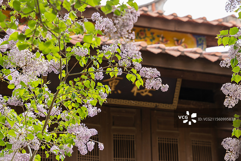 北京园博园闵园春色满园图片素材