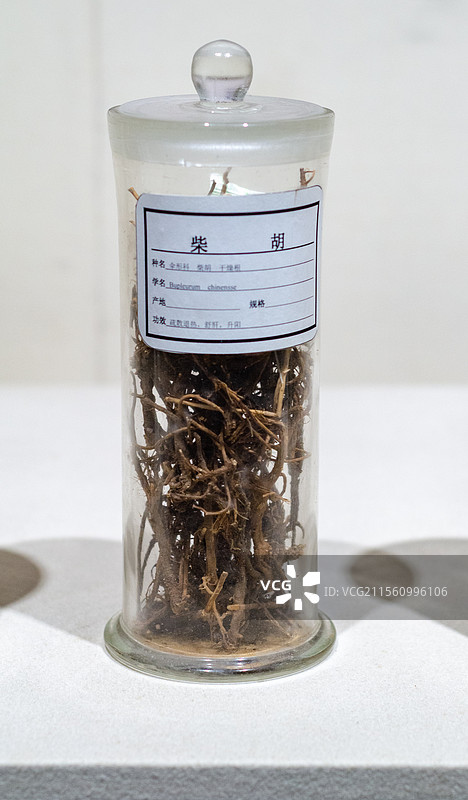 玻璃瓶装柴胡中药材标本图片素材
