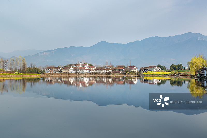 陕西汉中水天一色油菜花盛开的春天图片素材