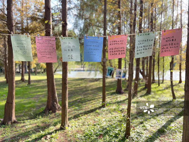 上海外国语大学图片素材