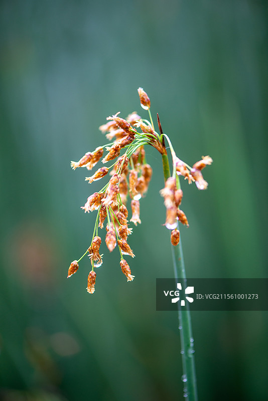 创意图片图片素材