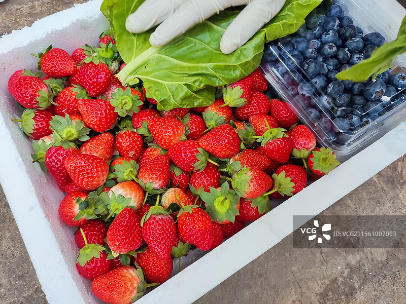 草莓蓝莓图片素材