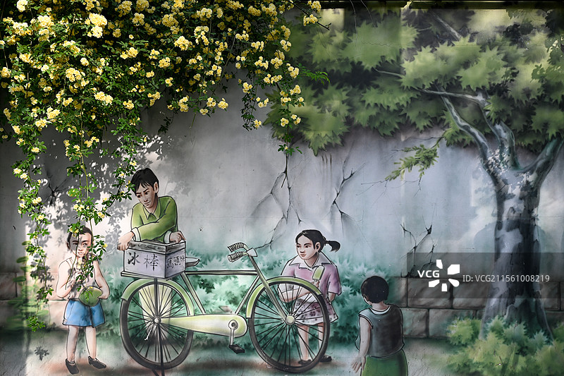 南京市碑亭巷木香花 民国涂鸦墙与木香花 南京网红打卡地图片素材