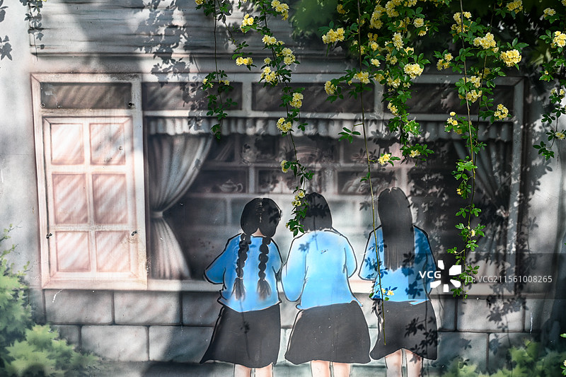 南京市碑亭巷木香花 民国涂鸦墙与木香花 南京网红打卡地图片素材