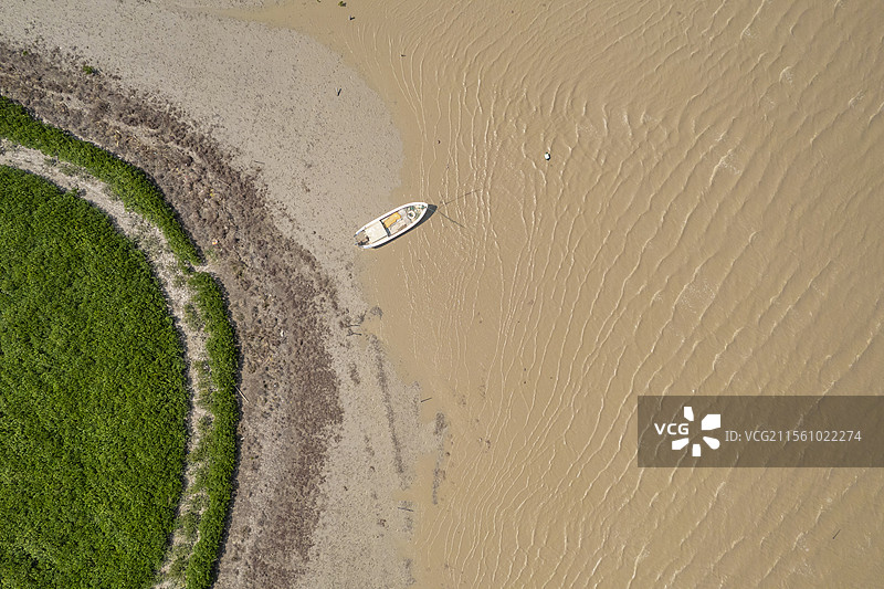 滩涂上湿地种植红树林的垂直俯瞰图片素材