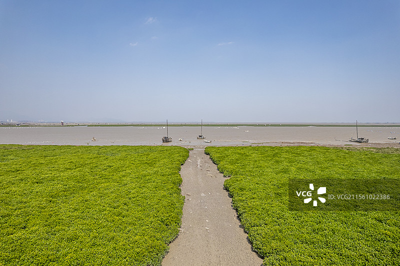 福建莆田木兰溪入海口，东甲滩涂上的红树林湿地公园及渔船的航拍图片素材
