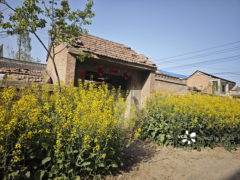 北方村里的春天图片素材