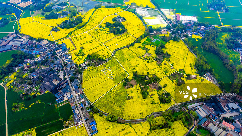 大地之春图片素材