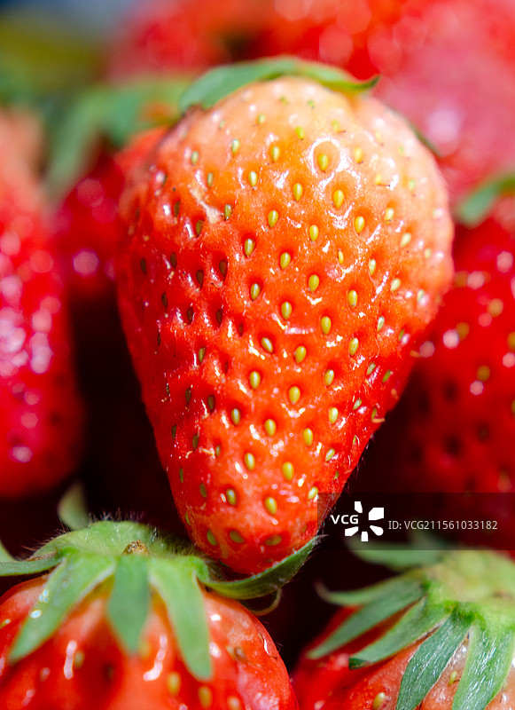 一颗鲜红的草莓特写图片素材
