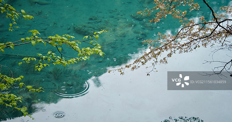 一半一半图片素材